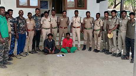 Forest department has arrested two tribal youths for attempting to sell a molar of a female elephant in Amaravathi in Anamalai
