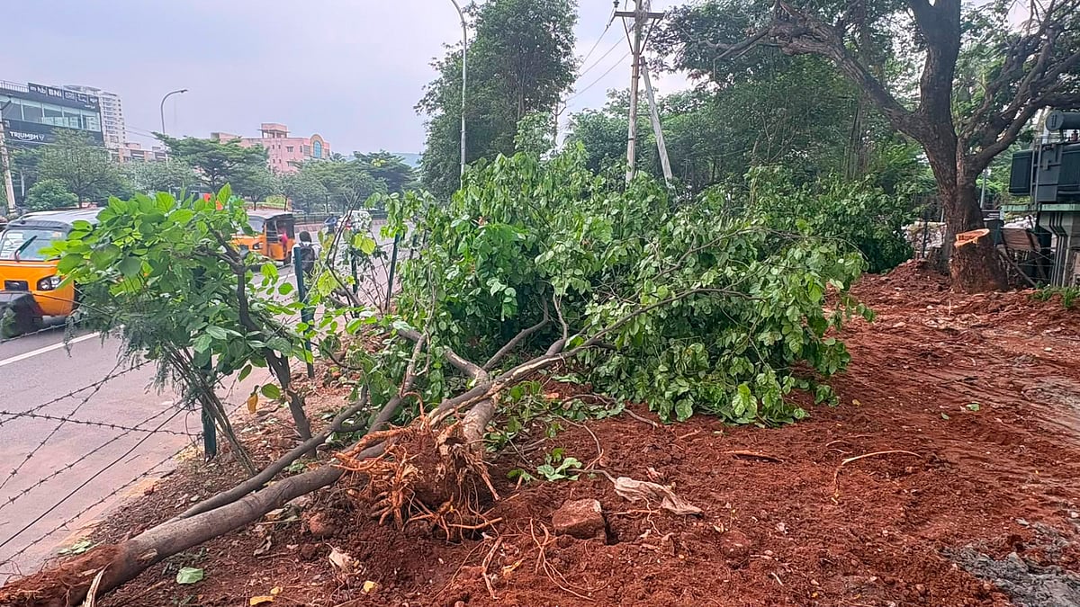 Tree felling sparks concern over green cover in Visakhapatnam