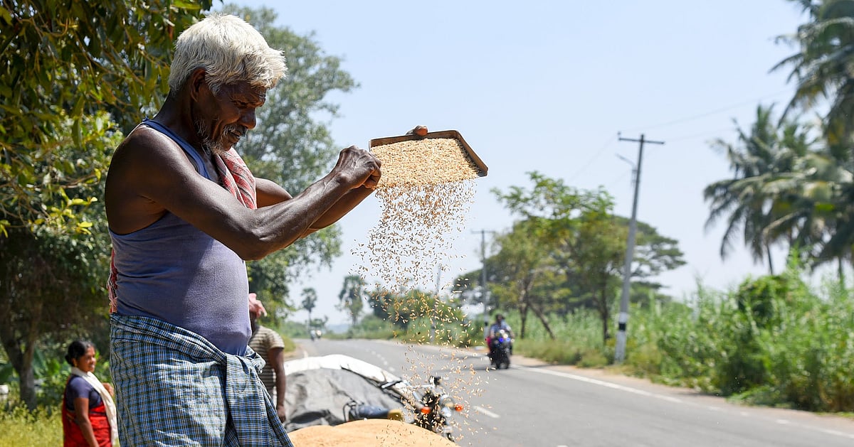 TN rice bowl in trouble, 96% dip in kuruvai harvest in Nagapattinam