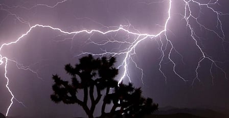  Four die of lightning as heavy rain lashes parts of Andhra Pradesh