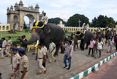 Dasara festivities