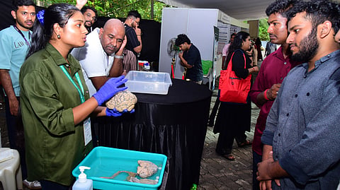 A Cusat volunteer explains the structure of human brain to the participants of the neuroscience conference.