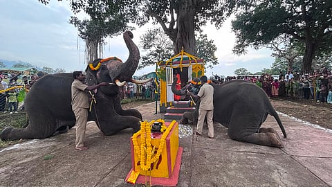 Captive elephants performing pooja as part of VC. Vinayagar Chaturthi festival at Theppakadu elephant camp in MTR on Monday.