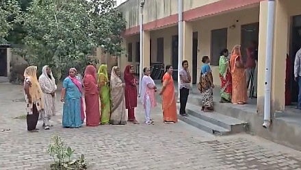 Rajasthan local body election 2026: Repolling underway at Ward 50 booth number 338, Jodhpur. 