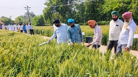 The farmers’ eligibility for carbon credits was independently verified before the credits were issued.