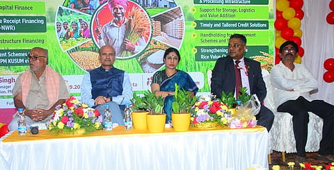 Punjab National Bank (PNB) staff during the agriculture outreach programme at Mandapeta, Dr B R Ambedkar Konaseema district, on September 16. 