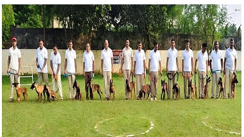 The newly-inducted pups will undergo specialised training from October 25 and are expected to become fully operational by March 2027.  