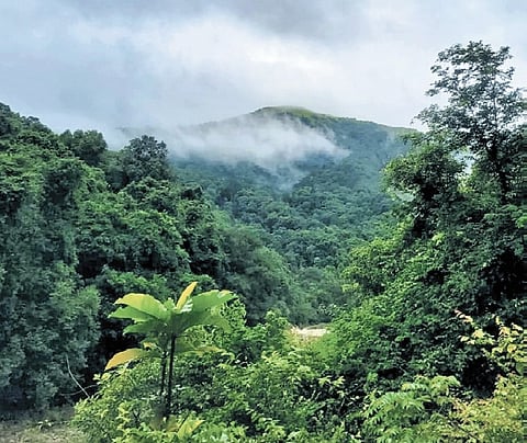 The resolution also stated that the Western Ghats are one of Karnataka’s most important natural assets and vital for biodiversity and ecological balance. 