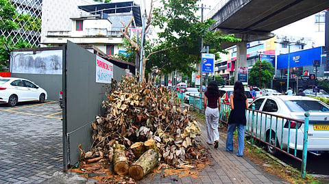Remains of trees that were recently chopped down near Changampuzha Park in Edappally.