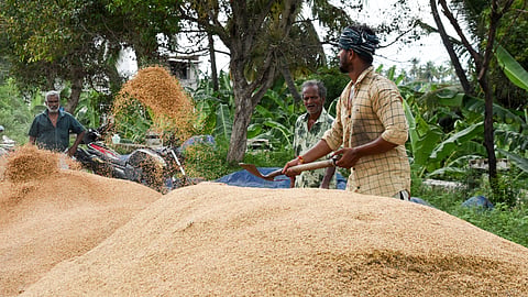 The RDO-level verification will prevent paddy procured from other states from being sold at the MSP in TN.
