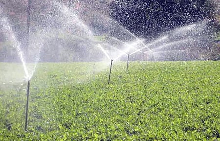 farmers are increasingly adopting drip and sprinkler irrigation systems. 