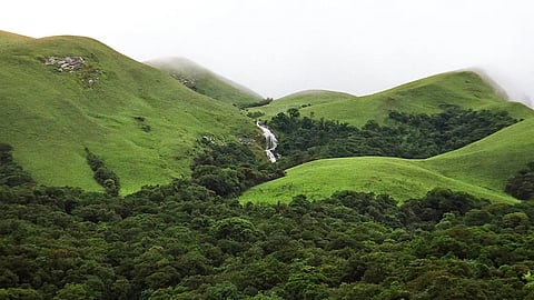 The Western Ghats are a Unesco biodiversity hotspot and home to 13 national parks and sanctuaries