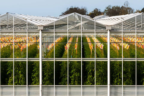 Image used for representational purposes.