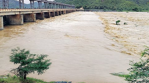 For crops already sown, the latest rain has arrived at a critical juncture. 