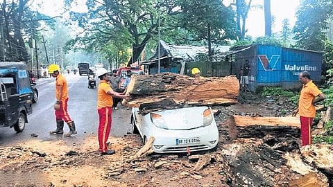 ODRAF personnel lifting the trunk of a tree which crashed on a car in Koraput town.