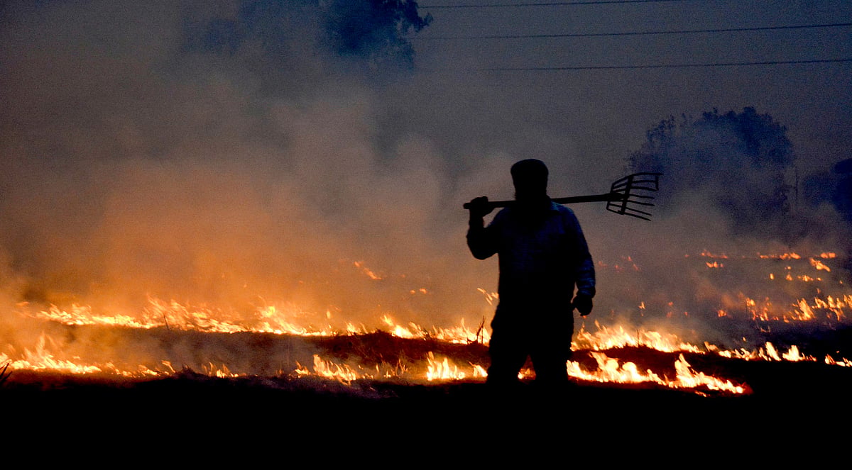Stubble burning in Punjab, Haryana 'barely' influenced Delhi's AQI in 2024-2026