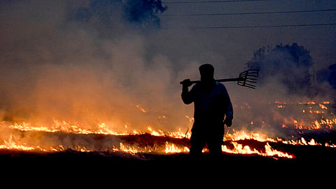 In this file photo from Nov. 02, 2025, a farmer is seen burning paddy stubble in a field in Haryana village.