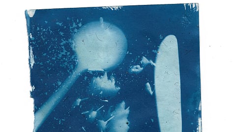 Cyanotype by Rohini Kejriwal