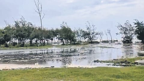 Farmland inundated by seawater in a village under Erasama block.