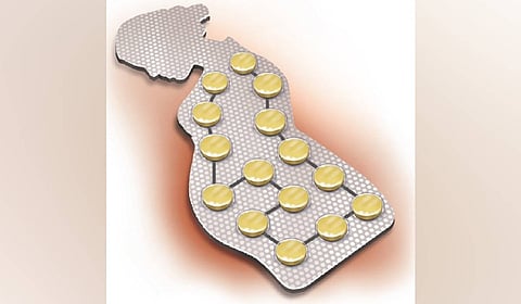 Its contraceptive manufacturing operations also produce oral contraceptive pills, non-steroidal oral contraceptives, emergency contraceptive pills, Copper-Ts, and tubal rings. Contraceptive products accounted for sales of Rs 441.20 crore for HLL in 2024-25.