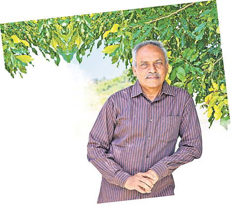 AN Prahlada Rao has crossed the 52,000-mark and continues to create around three crosswords a day.
