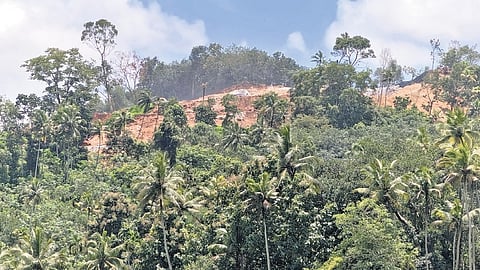 Kunj Ayiravalli hill at Pullampara. 