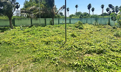 Vegetation overgrowth at Thanthai Periyar Govt College hostel in Tiruchy