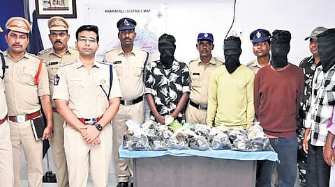 A search led to the seizure of 43 packets of hashish oil, each containing approximately one litre.
