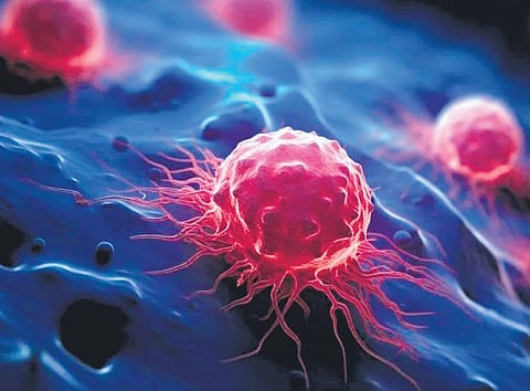 According to Eswaran, who hails from Palakkad, the findings indicate the potential of the compound against breast cancer, including triple-negative breast cancer. 