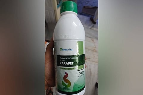 Paraquat Dichloride is considered one of the most hazardous herbicides globally. 