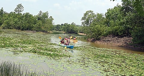Participants take part in rowing inside the Chandaka Wildlife Sanctuary. 