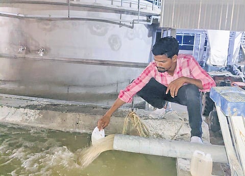 An official of the Andhra Pradesh Pollution Control Board (APPCB) collecting a sample of water from an aqua-processing unit