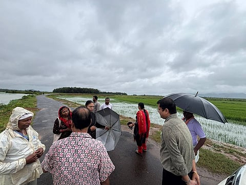 Officials inspecting flooded paddy fields in Koraput district  
