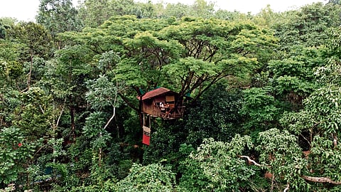 Treehouse at Varanashi Organic Farm in Mangaluru