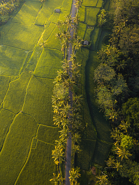 Kerala memories, rebuilt for the internet