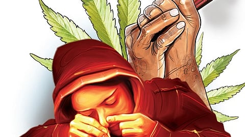 A search of the accused and the bag led to the seizure of 29 packets containing 1,160 chocolates labelled “Power Plus Munakka Vati” and marked “Cannabis Sativa 14%”. The packets contained a dark green semi-paste substance with a pungent smell and weighed 7.2 kg.