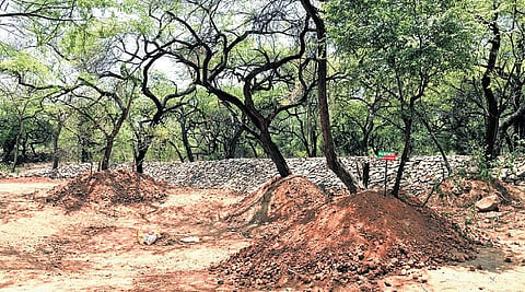 The CM said the current government has made significant progress in providing legal protection to forest areas in Delhi. 