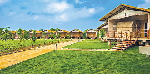 The newly inaugurated homestays at Debrigarh.