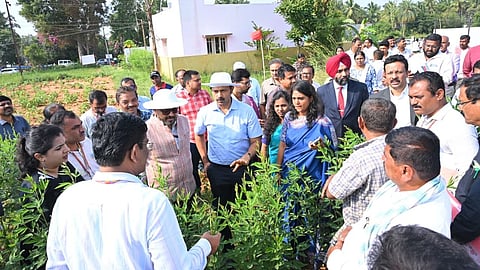 The Central drought assessment team inspects an agricultural field in Tumakuru on Saturday.  Deputy Commissioner Subha Kalyan informed the members that the district suffered crop loss worth an estimated Rs 159 crore due to deficient monsoon.