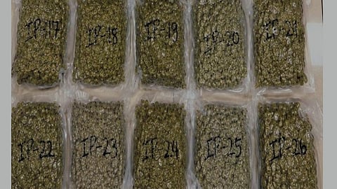 During a detailed examination of his baggage, officials found 26 transparent airtight packets suspected to be containing high-grade hydroponic ganja.