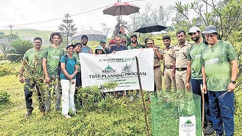 ITREK members who were involved in the planting of saplings at Ponmudi.