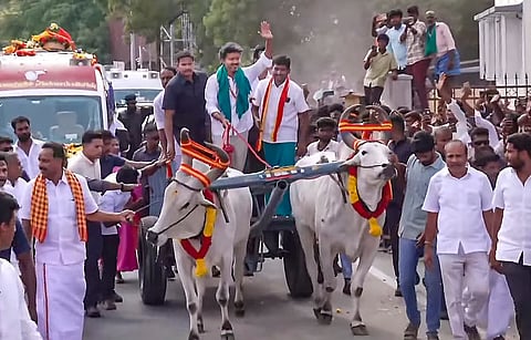 CM Vijay drives a bullock cart during his rally in Dharapuram on Sunday.