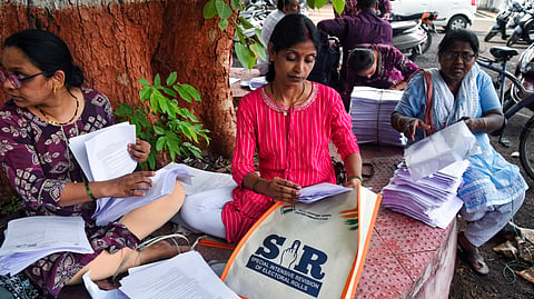 Booth Level Officers (BLOs) sort enumeration forms for the Special Intensive Revision (SIR) of electoral rolls.