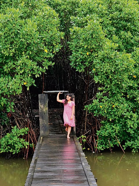 Udupi’s new eco-tourism destination winds through Saligrama’s mangrove forests