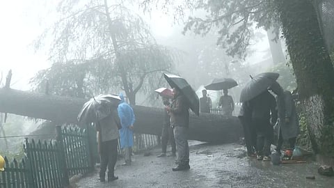 Himachal Pradesh: Officials assess situation, review rescue operations in rain-hit Sirmaur