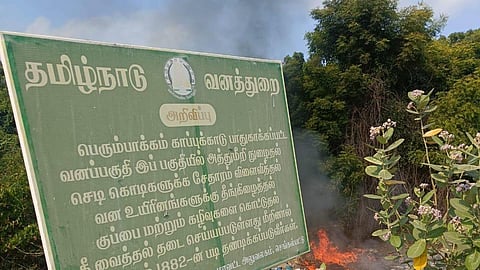 The Perumbakkam megalithic cists and cairns form a 157.31-acre centrally protected area 