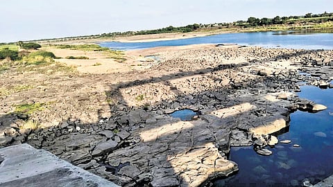 A stretch of Bhima River in Kalaburagi district, which has been drying up.