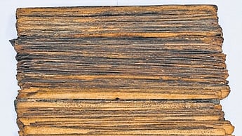 Restored palm-leaf manuscripts.