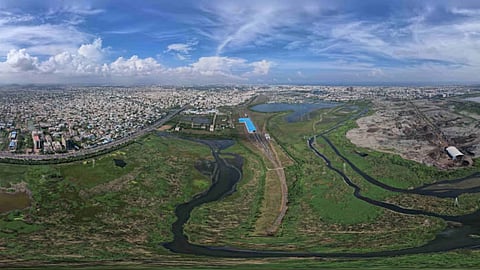 Pallikaranai marshland Ramsar site