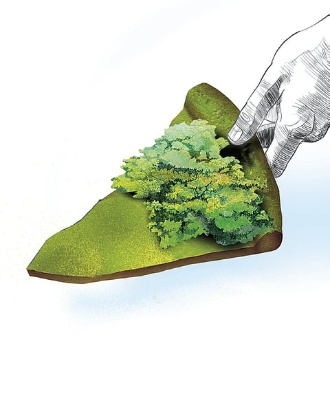 Representative image